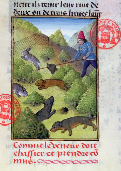Konijnen jagen met honden en netten, uit het Livre de la Chasse door Gaston Phebus door French School