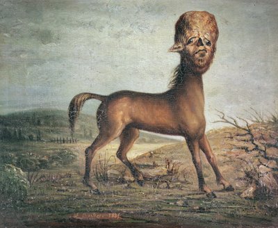 Hydrocefale merrie, geboren 21 januari 1821, 1835 door French School