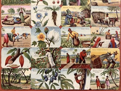 Illustratie voor een Frans schoolboek van verschillende producten uit de koloniën, c.1920-30 door French School