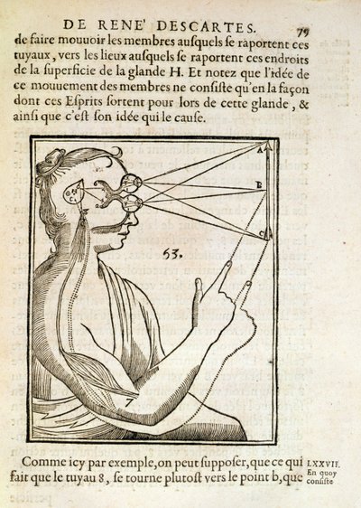 Illustratie uit De Homine Figuris door Rene Descartes, gepubliceerd in Den Haag, 1662 door French School