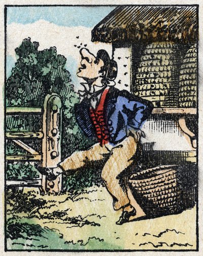 Illustratie van het verhaal 