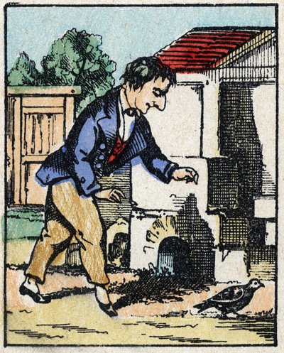 Illustratie van het verhaal 