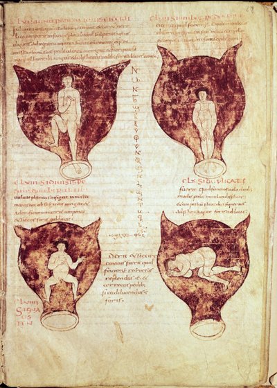 Illustraties van de foetus, uit het zogenaamde Rhodion-manuscript door French School