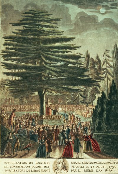 Inhuldiging van de buste van Carl Linnaeus (1707-78) in de Jardin des Plantes, onder de Libanonceder die hij in 1646 plantte, 23 augustus 1790 door French School