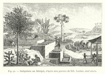 Indigoterie in Senegal, naar een gravure van Seb. Leclerc, 17e eeuw door French School