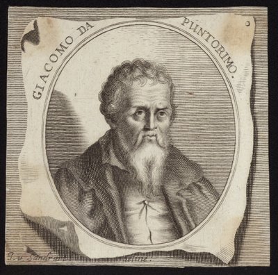 Jacopo da Pontormo door French School