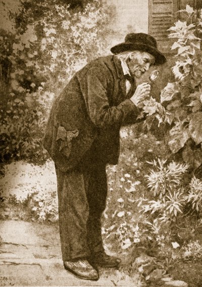 Jean-Henri Fabre observeert insecten door French School