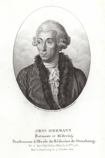 Jean Hermann door French School