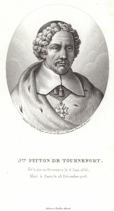 Joseph Pitton de Tournefort door French School