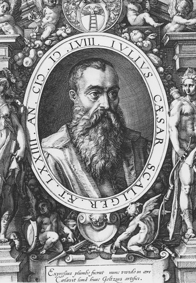 Julius Caesar Scaliger (gravure) door French School