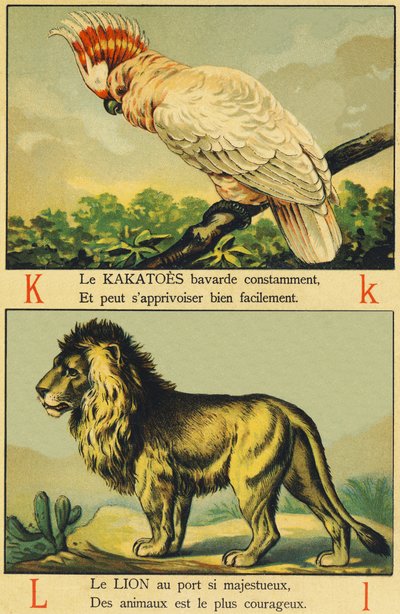 K als Kaketoes en L als Leeuw door French School
