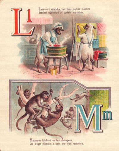 L M: Lam, wasgoed, apen, menagerie door French School