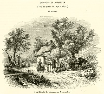 De Appeloogst in Normandië door French School