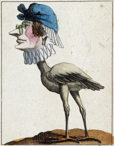 De ooievaar in karikatuur, studie van karakter 