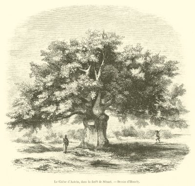 De eik van Antein, in het bos van Senart (gravure) door French School