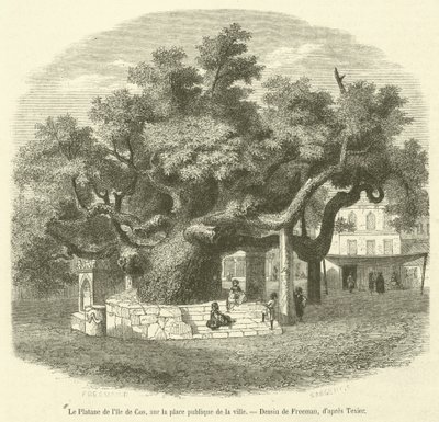 De plataan van het eiland Kos, op het openbare plein van de stad (gravure) door French School