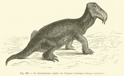 De dicynodont, reptiel uit het Trias, Zuid-Afrika (gravure) door French School