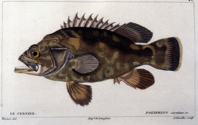 De grouper naar 