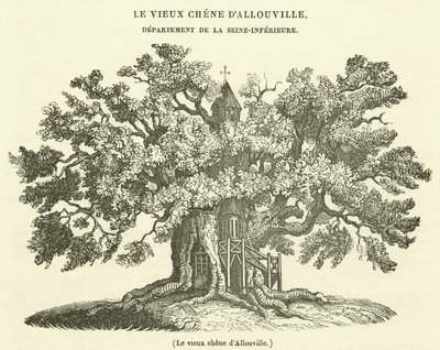 De oude eik van Allouville door French School