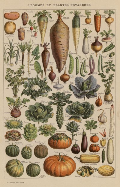 Groenten en moestuinplanten door French School