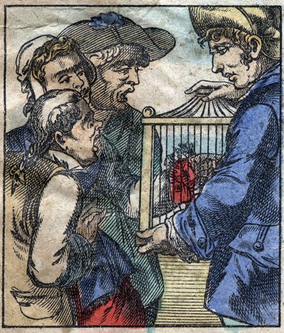 Lemuel Gulliver, in een kooi wordt getoond aan de reuzen van Brobdingnag. Illustratie voor 