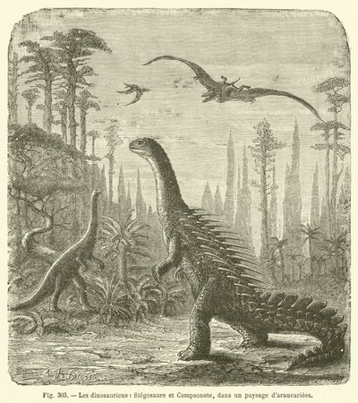 De dinosauriërs, Stegosaurus en Compsognathus, in een landschap van araucariaceae (gravure) door French School
