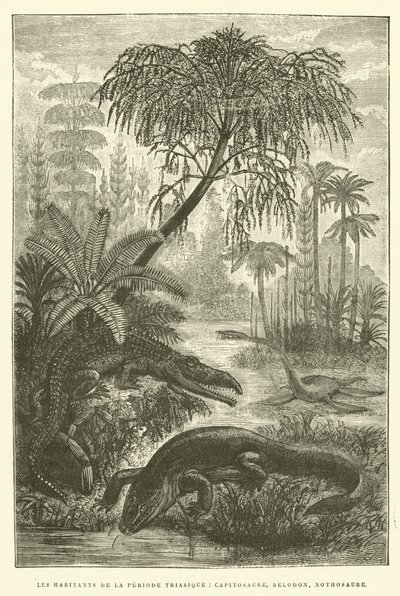 De bewoners van de Trias-periode, capitosaure, belodon, nothosaure door French School
