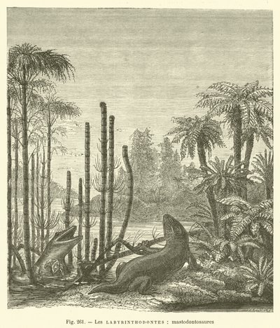 De labyrinthodonten, mastodontosauriërs (gravure) door French School