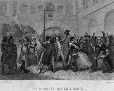 Les moderes mis en liberte - in 
