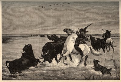 De ossen (runderras) van de Camargue naar het schilderij van Vayson - gravure in PATRIE - gravure in PATILE - BESCHRIJVING PICTURESQUE VAN FRANKRIJK IN 6 DELEN DOOR LUCIEN HUARD - eind 19e eeuw door French School