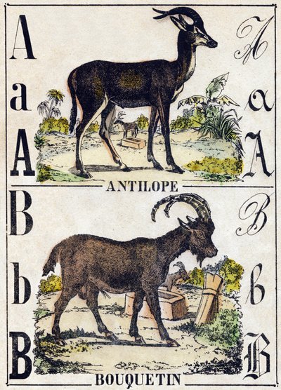 Letter A Antilope; B Steenbok. Gravure in 