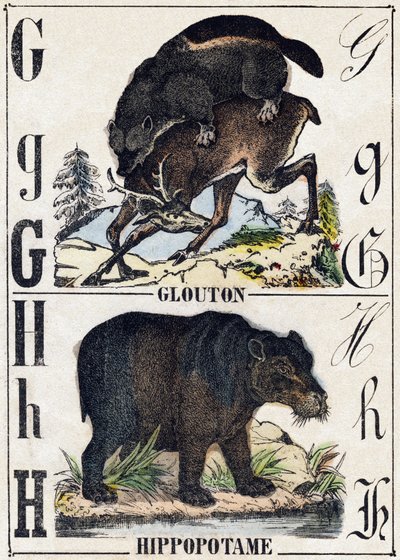 Letter G Veelvraat; H Nijlpaard. Gravure in 