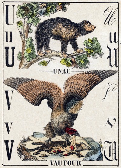 Letter U Unau (luiaard); V Gier. Gravure in "Alphabet des animaux sauvages". 9e Serie. Beeldmateriaal van Epinal, Pellerin, drukker-uitgever, circa 1870. Houtsneden, gestencild. 16 pagina
