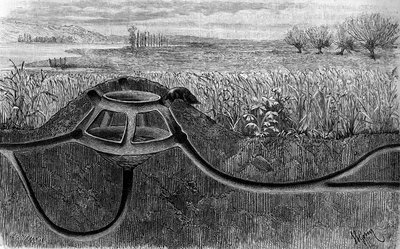 De woning van de mol. Gravure in 