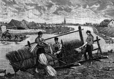 Linnen: linnen spoelen in de rivier Lys. Gravure in 