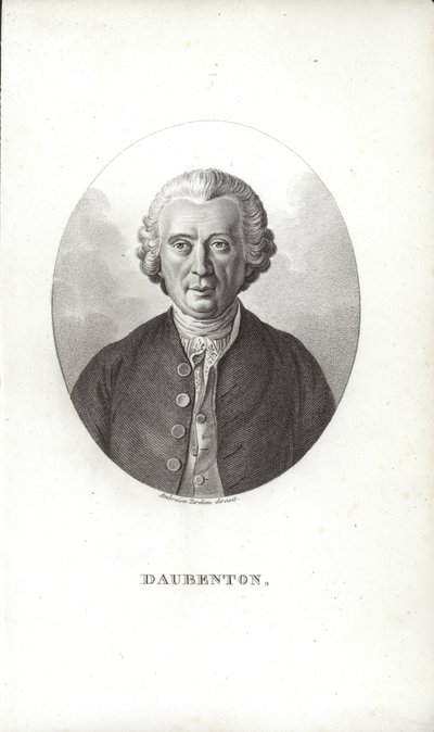 Louis-Jean-Marie Daubenton door French School