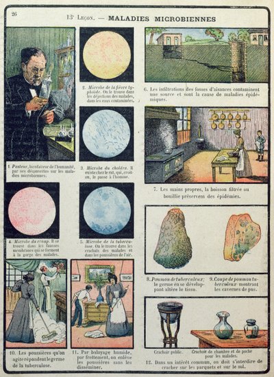 Louis Pasteur (1822-95) en bacteriële ziekten, uit Les Sciences Physiques et Naturelles, Parijs, 1908 door French School