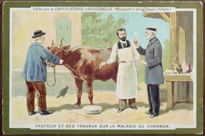 Louis Pasteur (1822-95) onderzoekt miltvuur, reclamekaart van de Chocolaterie d