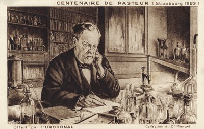 Louis Pasteur door French School