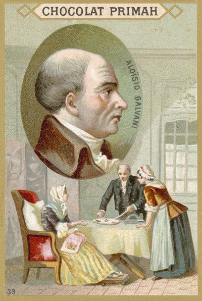 Luigi Galvani door French School