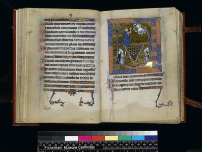 MS 300 f25v-26r, David bidt tot God, uit de Psalter en Getijden van Isabella van Frankrijk, Parijs, ca.1265-70 door French School