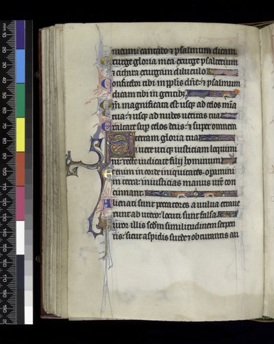 MS 300 f.61v, folio uit de Psalter en Getijden van Isabella van Frankrijk, Parijs, ca.1265-70 door French School