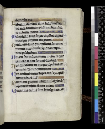 Uit de Psalter en Uren van Isabella van Frankrijk door French School