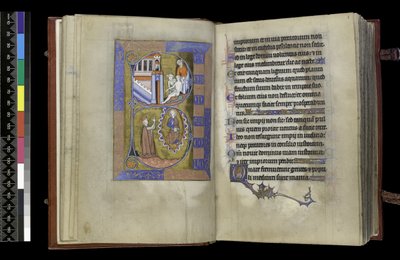 MS 300 f.XIII-1r, uit de Psalter en Getijden van Isabella van Frankrijk, Parijs, ca. 1265-70 door French School