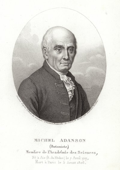 Michel Adanson door French School