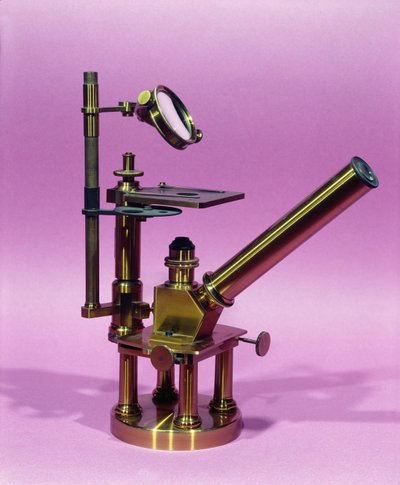 Microscoop van Louis Pasteur (1811-95) (metaal) door French School
