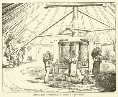 Molen om het sap van suikerriet te persen, in Martinique door French School
