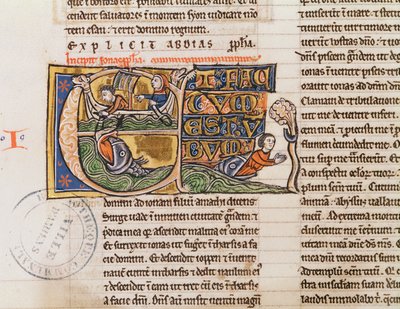 Ms 21 Fol.163v Geïllustreerde initiaal E die Jona toont die in de zee wordt gegooid, uit een ongespecificeerde bijbel door French School