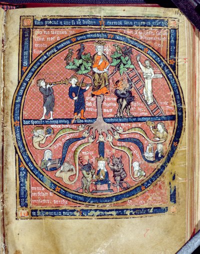 Ms 2200 Allegorische boom, uit De Philosophia Mundi door Guillaume de Conches, 1276-77 door French School