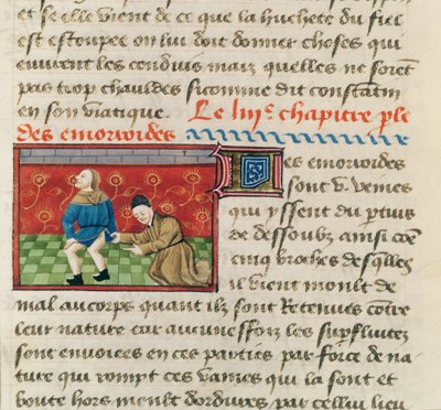 Onderzoek van een patiënt met aambeien, uit Le Livre des Proprietes des choses door Barthelemy l